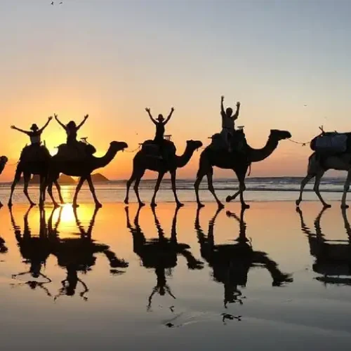 Camel Ride Experience 1 Camel Ride Experience agadir tours