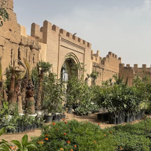 Tiout & Taroudant Excursion with Lunch Included 4 taradounat